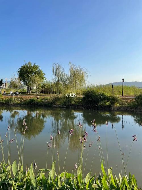 谢岗-银山湿地公园_景点_湿地公园_银山湿地公园_出行