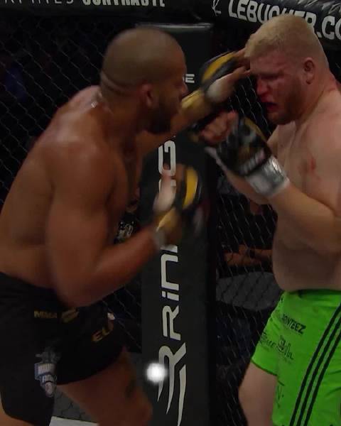 在加入ufc之前盖恩曾是加拿大mma赛事tko的重量级冠军