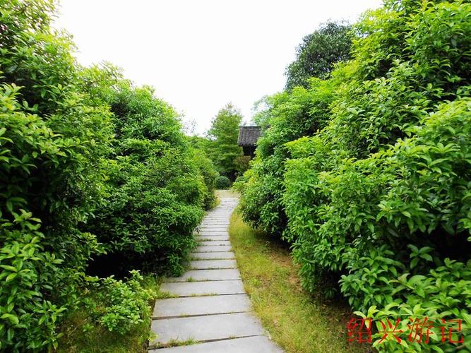 绍兴大香林风景区