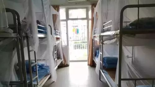 华侨城中学10人间,上下铺,每间宿舍2个卫生间,每个独立阳台由2个