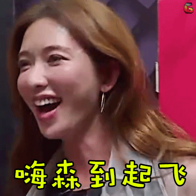 soogif soogif制作 极限挑战 林志玲 嗨森到起飞 开心到起飞 开心