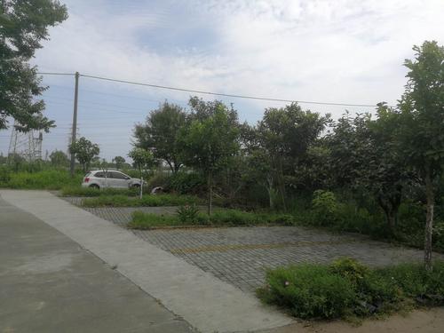 美丽乡村农家停车场