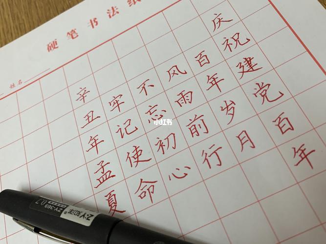 建党100周年硬笔书法作品_稚慧国学书画自由行热门攻略_硬笔书法_建党