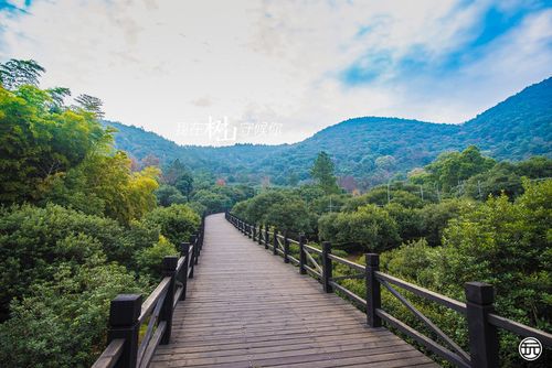 苏州乡村微旅游