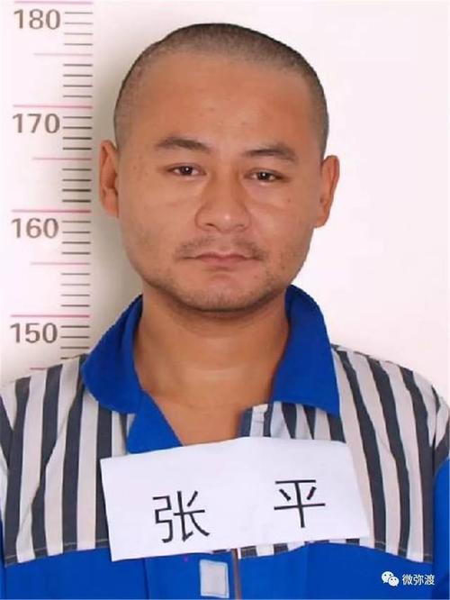 涉及祥云人弥渡警方发布关于征集张平涉恶犯罪团伙违法犯罪线索的通告