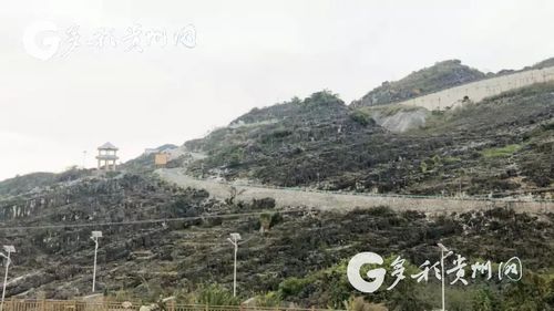 算丰收账·脱贫攻坚看贵州"媒体采访团来到了贞丰县北盘江镇顶坛片区