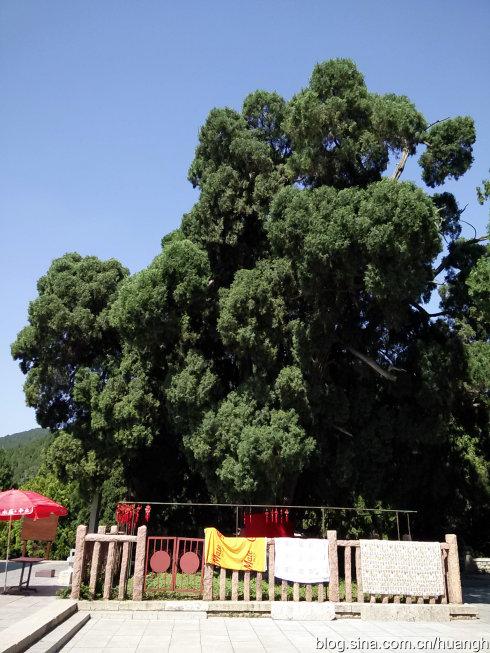 四门塔与九顶松