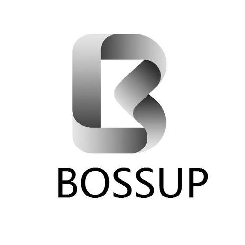  em>boss /em> em>up /em>