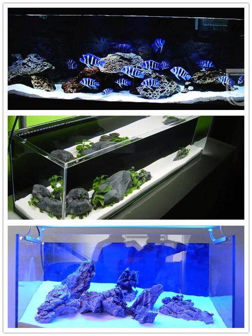 白沙子鱼缸底砂造景砂草缸造景溪流装饰三湖鱼底沙地台拍照展示沙