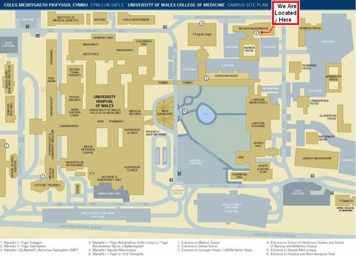 卡迪夫大学 - cardiff university的地图 学校中心 | 中英网uker.