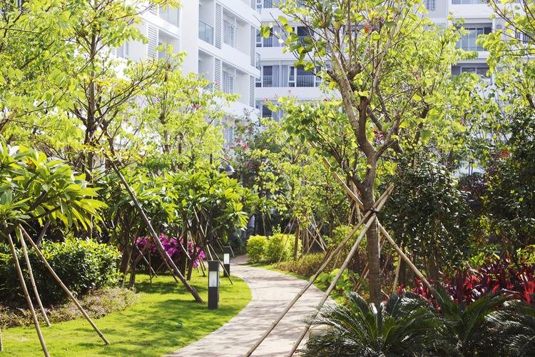 深圳市四季青园林花卉有限公司