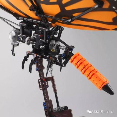 翅膀和腹部结构和703601不同.