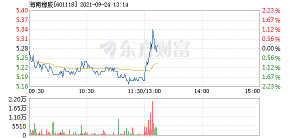 海南橡胶9月24日快速反弹