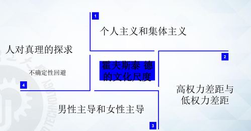 霍夫斯泰德的文化维度分类图