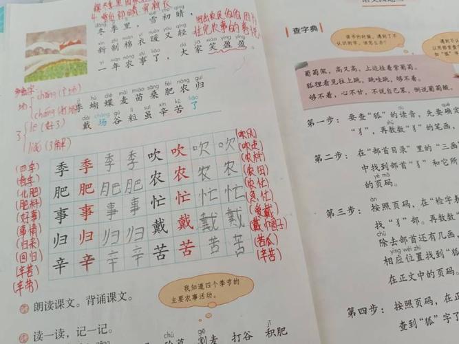 语文第二单元总结