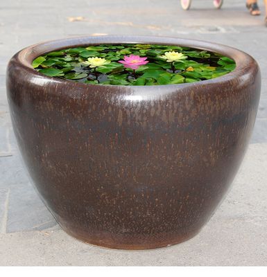 庭院水缸简笔画