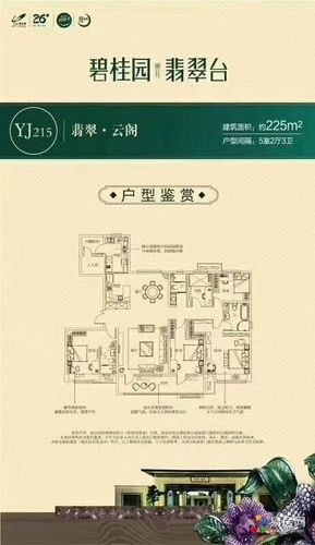 碧桂园翡翠台户型图