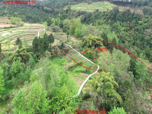 原创陈益峰:风吹罗带,陈氏亿万富翁的祖坟