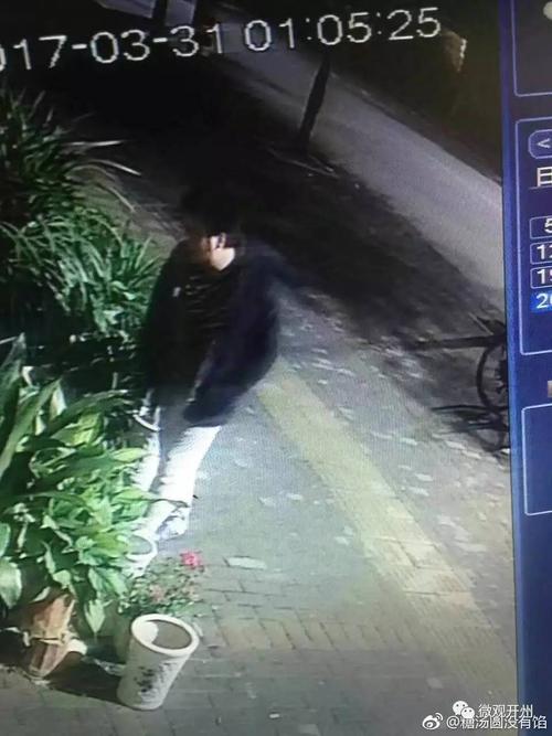 开州深夜惊现"偷花贼",开着车一"顺"就是三盆!