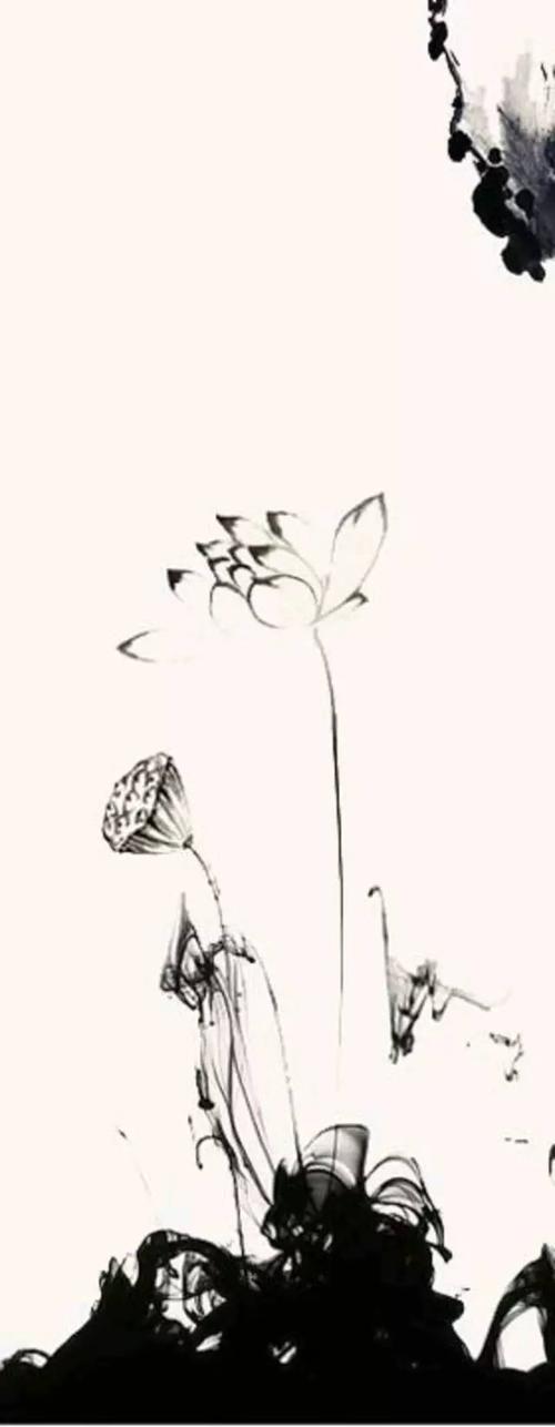 历代名家画荷花,淡看浮华!