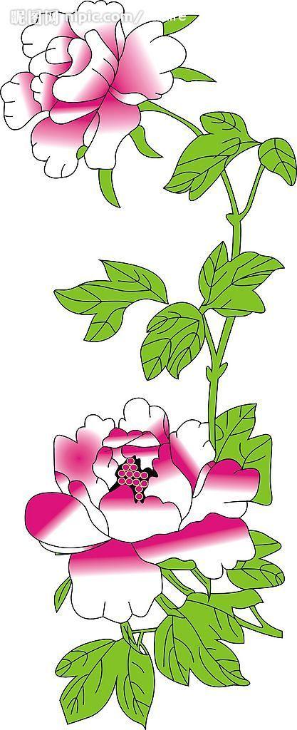 花中之王----牡丹