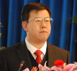 陆文龙(河北隆化县县委书记)_百度百科