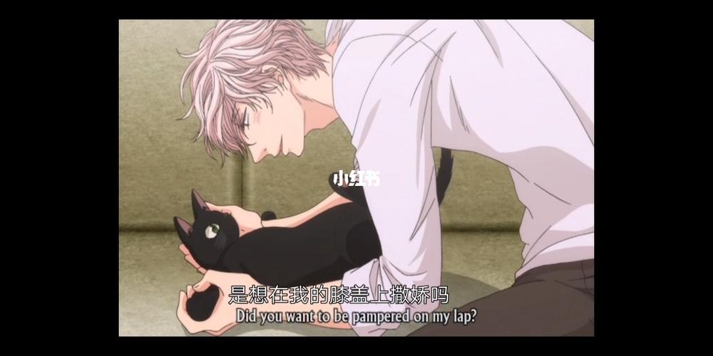 我的黑猫男友