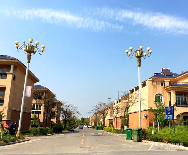 东明玉皇新村和金堤的古槐