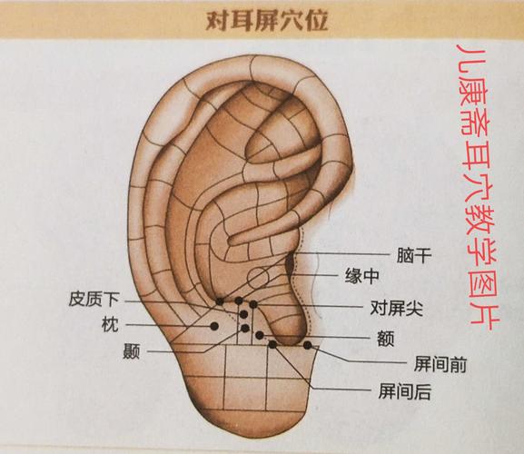 儿童春季助长益智耳穴该怎么贴最有效?