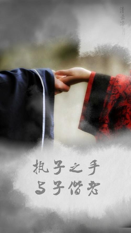 文字 壁纸 锁屏 古风 诗经 执子之手与子偕老 「shmilywilliam出品」