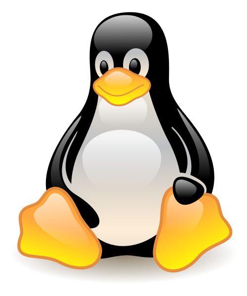比如波澜哥的歌声(滑稽)下面是一只企鹅——linux的吉祥物!