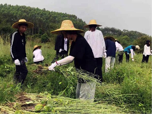 "边话党史,边做劳动",这所学校将课堂搬到田间地头