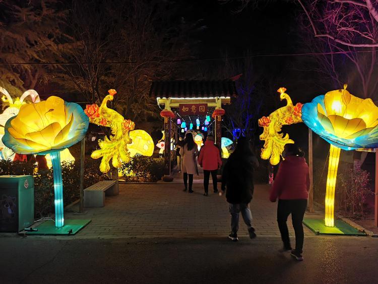 "2月18日,也是大年初七,吴先生一家一大早就来到了潍坊市金宝乐园排队