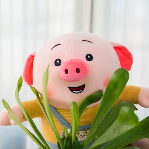 抖音同款网红猪小屁公仔小猪毛绒玩具大号儿童布娃娃六一生日礼物