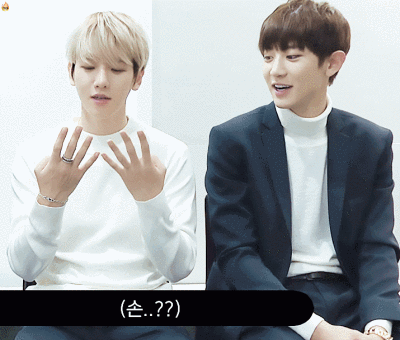 灿白朴 灿烈边伯贤 gif