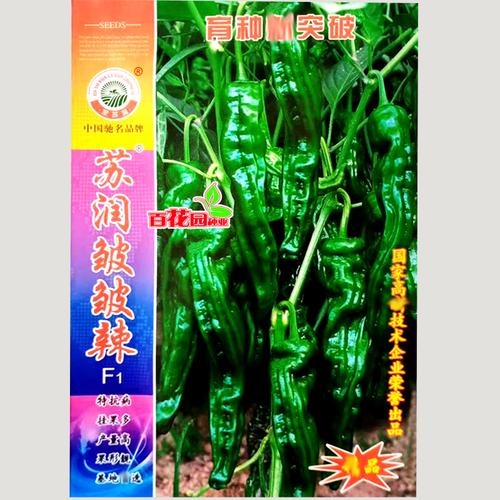 苏润皱皱辣小皱辣椒种子黑皮平头皱皮种籽香辣蔬菜种子