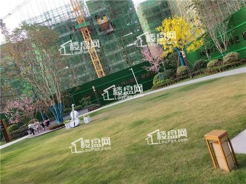 星州润达城值不值得买?五大价值所在为你揭秘!-赣州
