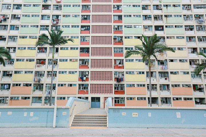 港媒:香港公屋"神童"圆梦 17岁获牛津全额奖学金读研