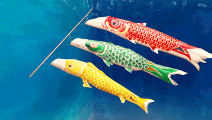 健康快乐鲤鱼旗