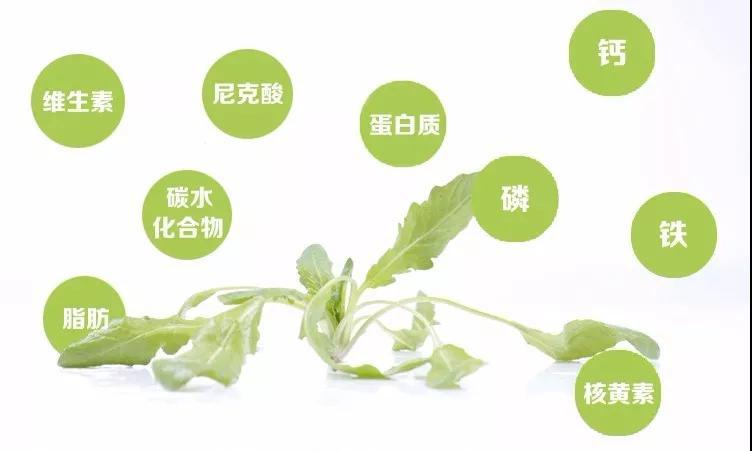 荠菜不免被拿来分析,度娘上记载:荠菜的营养价值很高,每100克荠菜含