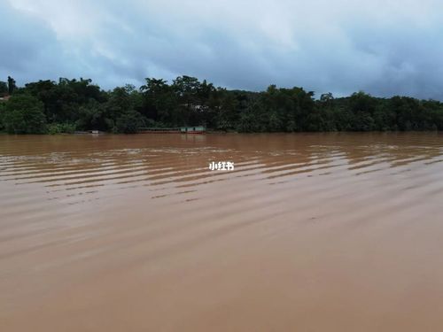 湄公河美景._景点_风景_金三角码头攻略_出行_人文风光展示_自然风光