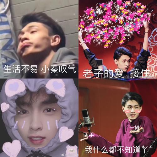 德云社表情包②-秦霄贤_表情包_秦霄贤_德云社_德云社