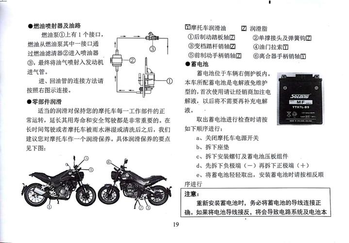幼狮250说明书 贝纳利