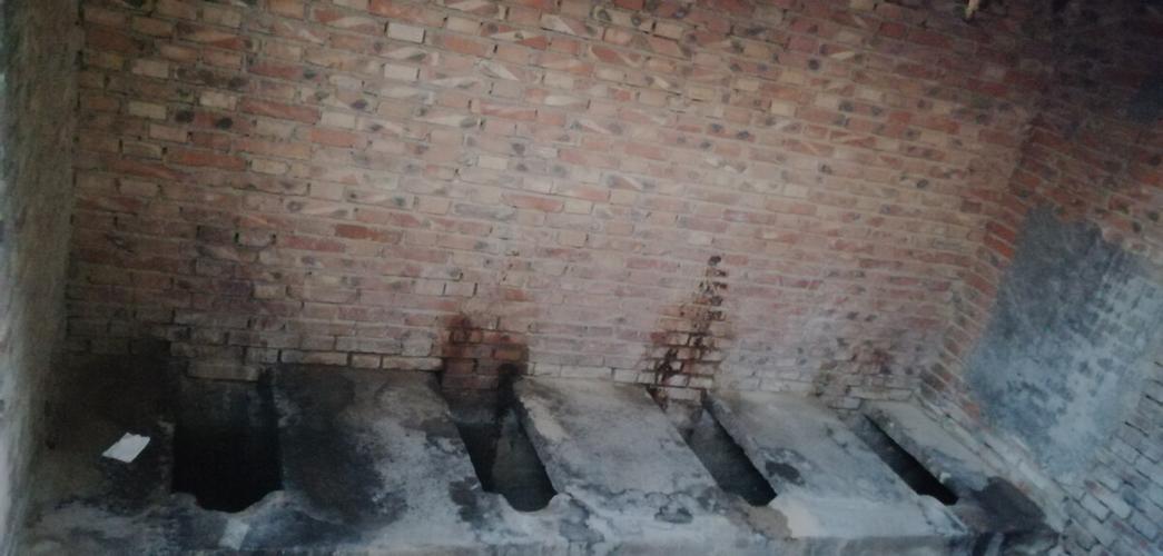 坐落于一个北方城市(沧州)里面的某个茅厕(厕所,旱厕