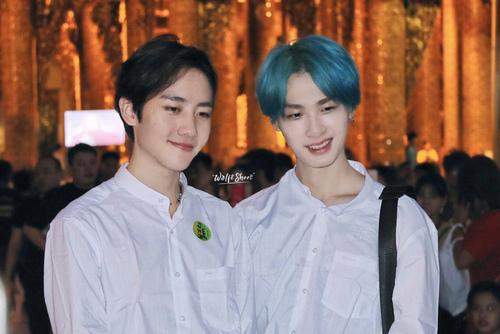 发色女王陈智霆(太美惹)