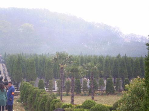 合肥小蜀山公墓一角4月4日,我一家三口冒着蒙蒙细雨,先到我岳父长眠的