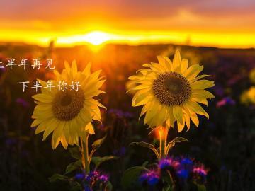 上半年再见,下半年你好的唯美说说