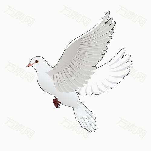 白色鸽子卡通造型
