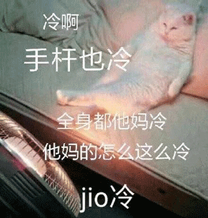 天冷表情包合集风好大我好冷