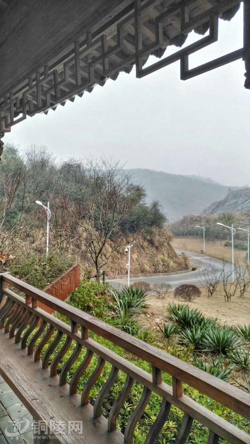 立即注册x  单车大铜官山公园游